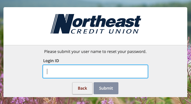 Northeast Credit Union Forget Information 